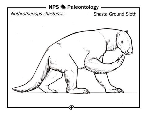 Prehistoric Ground Sloth (Nothrotheriops Shastensis) Coloring Page